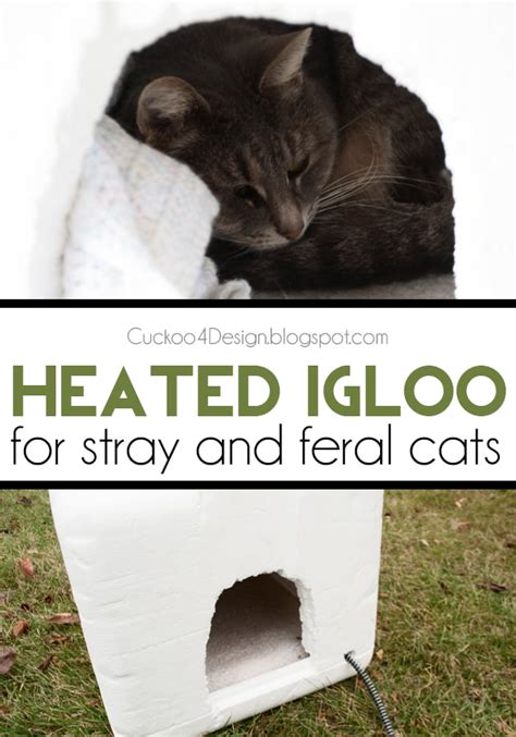 metal igloo cat house|igloo cooler heated cat house.